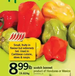 Fortinos SCOTCH BONNET offer