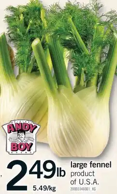 Fortinos LARGE FENNEL offer