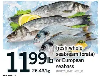 Fortinos FRESH WHOLE SEABREAM (ORATA) OR EUROPEAN SEABASS offer