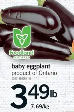 Fortinos BABY EGGPLANT offer
