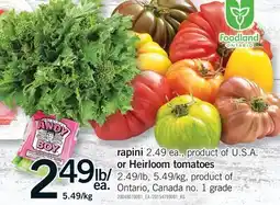 Fortinos RAPINI OR HEIRLOOM TOMATOES offer