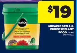 Real Canadian Superstore MIRACLE GRO ALL PURPOSE PLANT FOOD offer