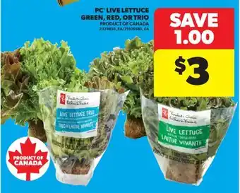 Real Canadian Superstore PC LIVE LETTUCE GREEN, RED, OR TRIO offer