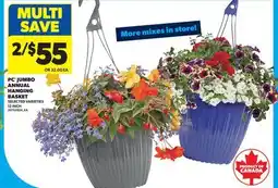 Real Canadian Superstore PC JUMBO ANNUAL HANGING BASKET, 12 INCH offer