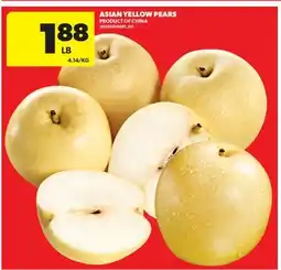 Real Canadian Superstore ASIAN YELLOW PEARS offer