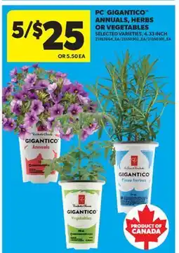 Real Canadian Superstore PC GIGANTICO ANNUALS, HERBS OR VEGETABLES, 4.33 INCH offer
