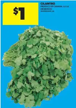 Real Canadian Superstore CILANTRO offer