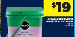 Real Canadian Superstore MIRACLE GRO BLOOM BOOSTER PLANT FOOD offer