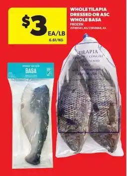 Real Canadian Superstore WHOLE TILAPIA DRESSED OR ASC WHOLE BASA offer