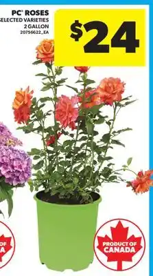 Real Canadian Superstore PC ROSES, 2 GALLON offer