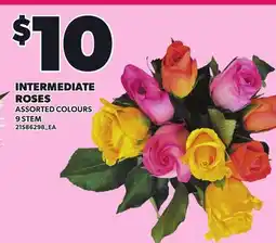 Loblaws INTERMEDIATE ROSES, 9 STEM offer