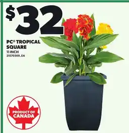 Loblaws PC TROPICAL SQUARE, 11 INCH offer