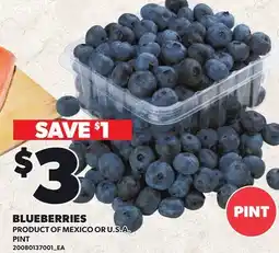 Loblaws BLUEBERRIES offer