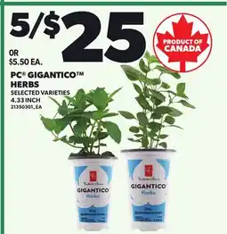 Loblaws PC GIGANTICO HERBS, 4.33 INCH offer
