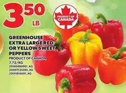 Loblaws GREENHOUSE EXTRA LARGE RED, OR YELLOW SWEET PEPPERS offer