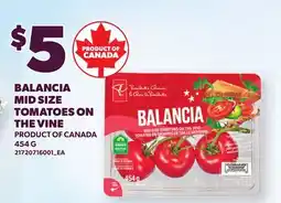 Loblaws BALANCIA MID SIZE TOMATOES ON THE VINE offer