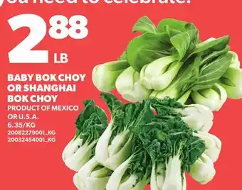 Loblaws BABY BOK CHOY OR SHANGHAI BOK CHOY offer