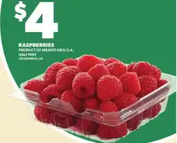 Loblaws RASPBERRIES offer