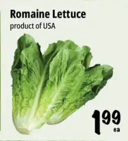 Farm Boy Romaine Lettuce offer
