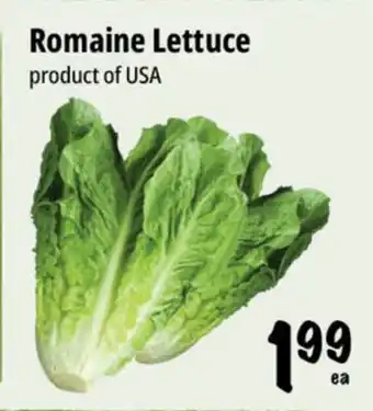 Farm Boy Romaine Lettuce offer
