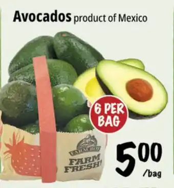 Farm Boy Avocados offer