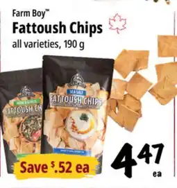 Farm Boy Farm Boy Fattoush Chips offer