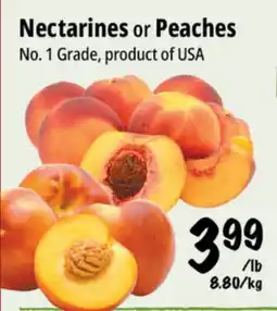 Farm Boy Nectarines or Peaches offer