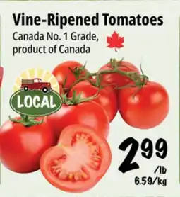 Farm Boy Vine-Ripened Tomatoes offer