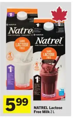 Foodland Lactose Free Milk offer
