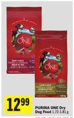Foodland PURINA ONE Dry Dog Food offer