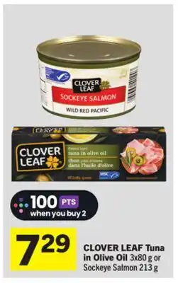 Foodland Tuna in Olive Oil offer