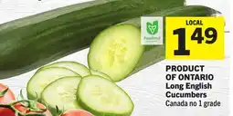 Foodland Long English Cucumbers offer