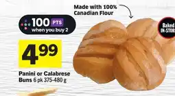 Foodland Panini or Calabrese Buns offer