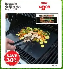 Oxford Mills Reusable Grilling Mat offer