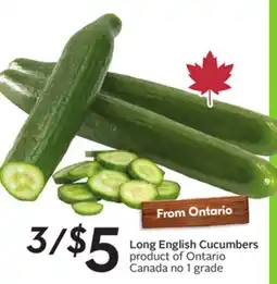 Sobeys Long English Cucumbers offer