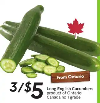 Sobeys Long English Cucumbers offer