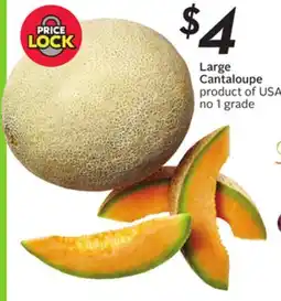 Sobeys Large Cantaloupe offer