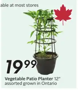 Sobeys Vegetable Patio Planter offer