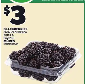 Independent Grocer BLACKBERRIES, HALF PINT offer
