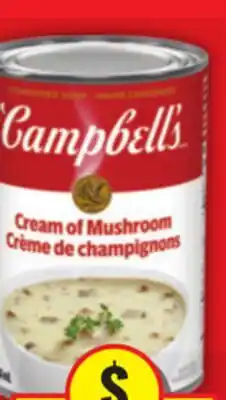 Food Basics CAMPBELL'S CONDENSED SOUP offer