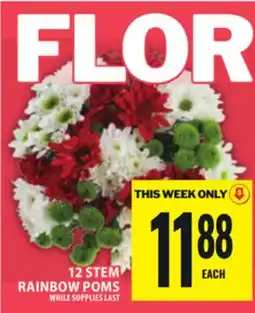 Food Basics FLOR 12 STEM RAINBOW POMS offer