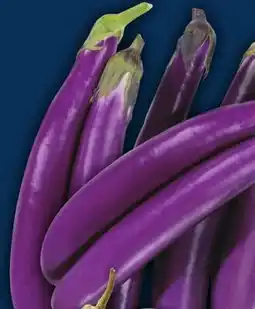 Food Basics CHINESE EGGPLANT OR INDIAN EGGPLANT offer