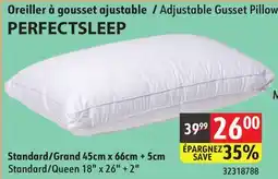 Sushi Shop Adjustable Gusset Pillow offer