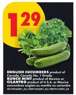 No Frills ENGLISH CUCUMBERS, BUNCH MINT, CILANTRO offer