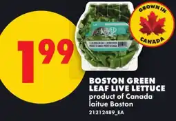 No Frills BOSTON GREEN LEAF LIVE LETTUCE offer