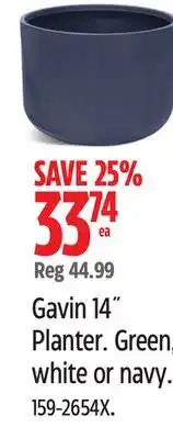 Canadian Tire Gavin 14˝ Planter offer