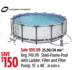 Canadian Tire Steel-Frame Pool with Ladder, Filter and Filter Pump offer