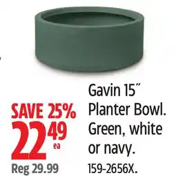 Canadian Tire Gavin 15˝ Planter Bowl. Green, white or navy offer