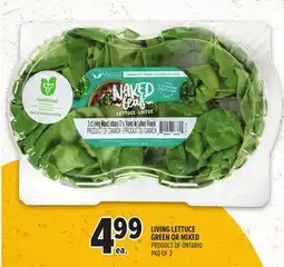 Metro LIVING LETTUCE GREEN OR MIXED offer