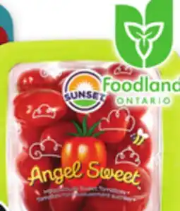 Metro SNACKING TOMATOES offer